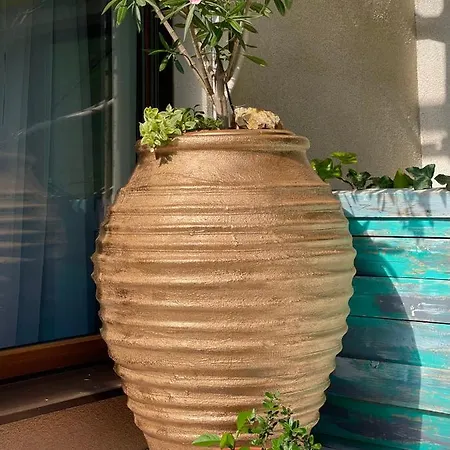 Arcadia Mamaia Nord דירה